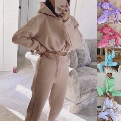 Fashion Casual Solid Basic Hooded Collar Long Sleeve Two Pieces Sweatsuit